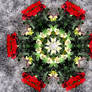 Mandala: Sacred Bloom