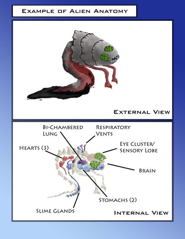 Illustration of Alien Anatomy by Csel on DeviantArt