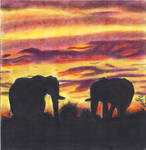 Elephant Sunset by Charlene-Art