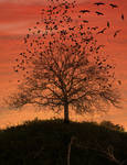 Sunset Tree by Charlene-Art