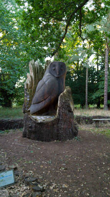 The Great Owl