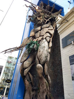 I am Groot