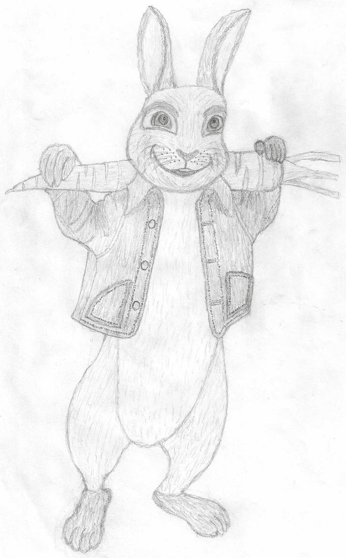 Peter Rabbit Sketch by KumandraArchives on DeviantArt