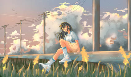 sunset on the roadside
