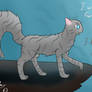 Jayfeather +speedpaint