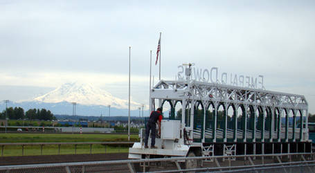 The View of Mt. Rainier