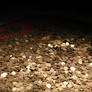 pile of golden coins