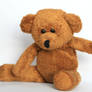 teddy bear 05