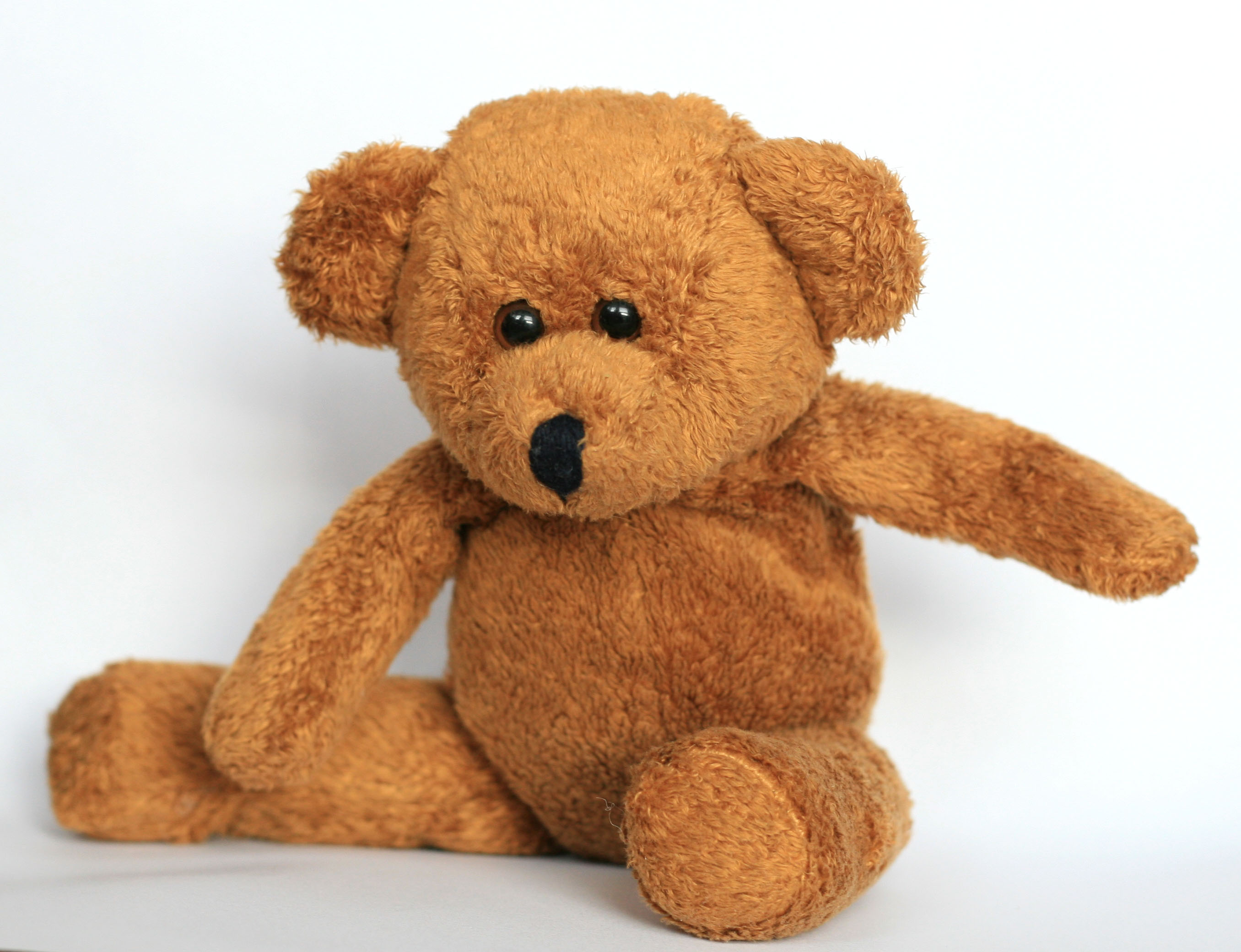teddy bear 05