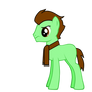 Pony OC: Chocolate Mint