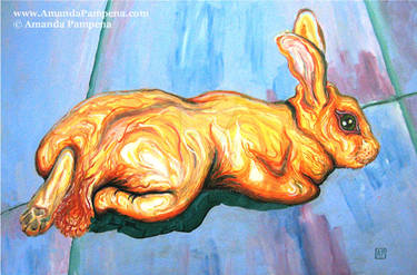 Reclining Rabbit