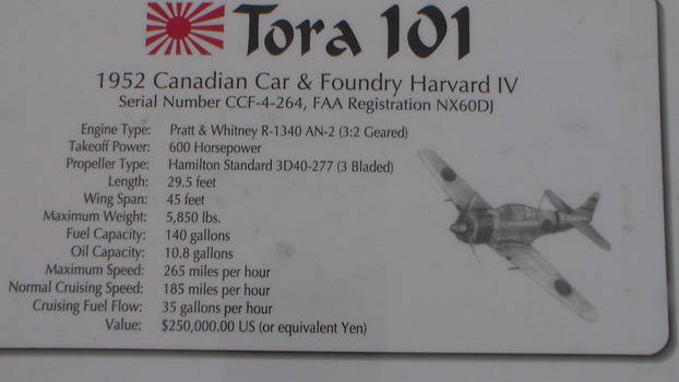 Tora 101 Explination