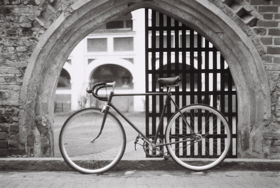 Fixie in bw5