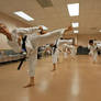 I'm A Bond Girl with a Black Belt in Karate