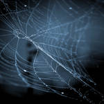 webs.5 by plutonicfluf