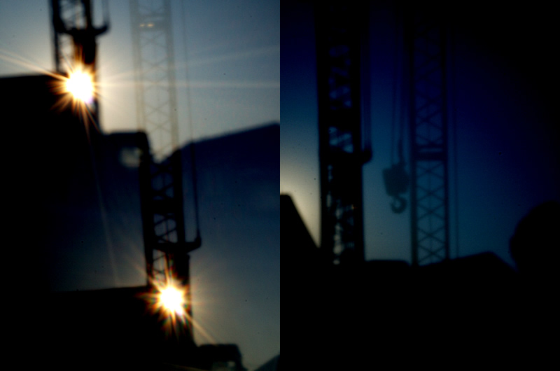 cranes at sundown