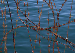 Barbed wire over calm water