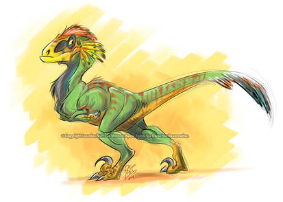 Feathery raptor