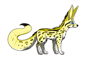 Fennec fox/Ocelot hybrid