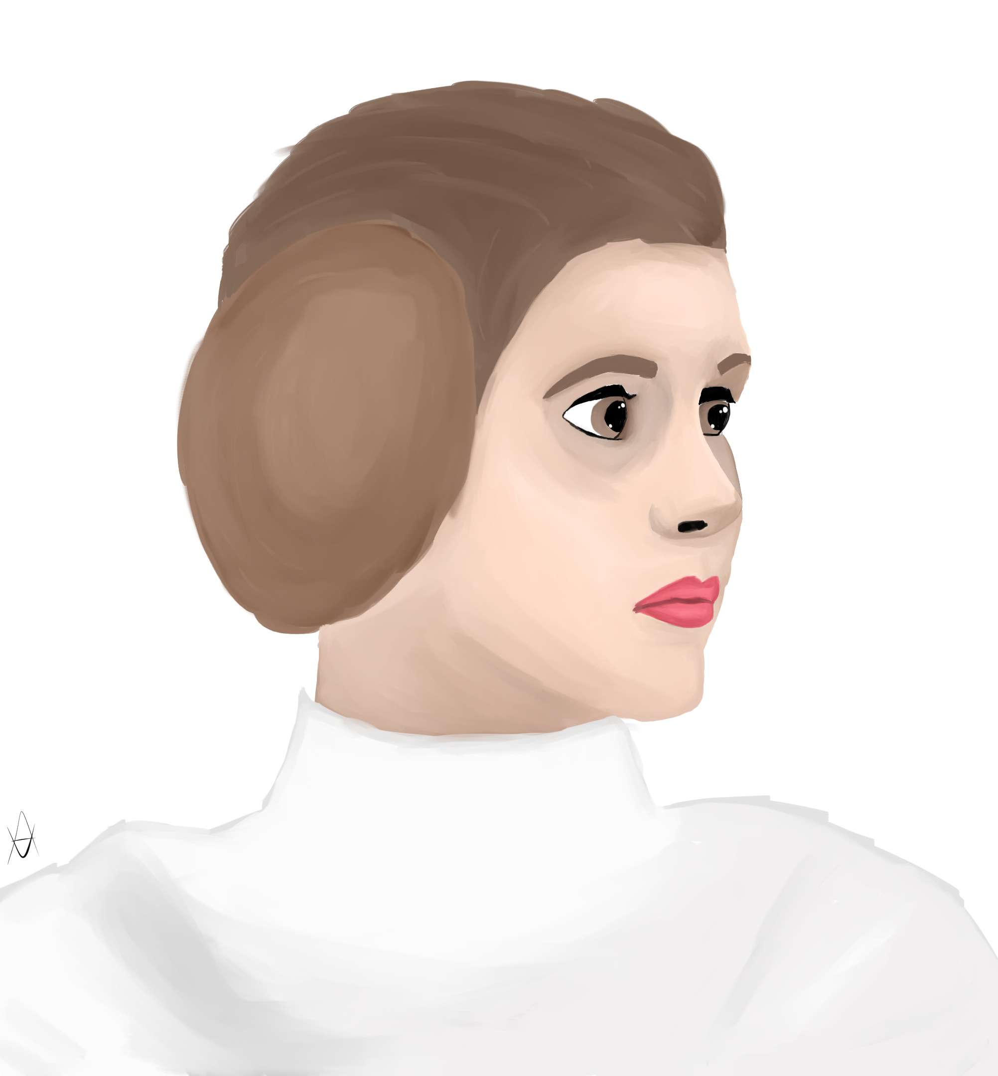 Quick Leia Painting