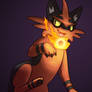 Torracat