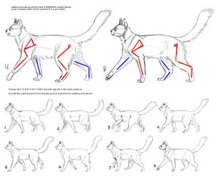 How to Cat: Walk Cycle