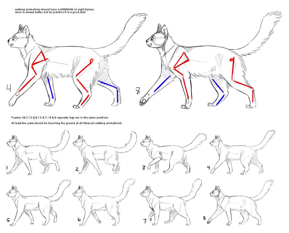 How to Cat: Walk Cycle by SowoD on DeviantArt