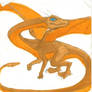 Orange Dragon