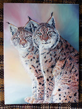 Lynx Cats