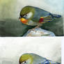 Bird watercolor 2