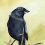 Bird Watercolor 3