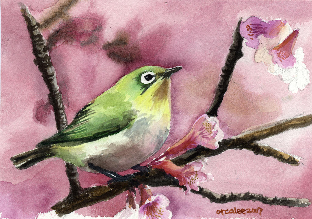Bird watercolor