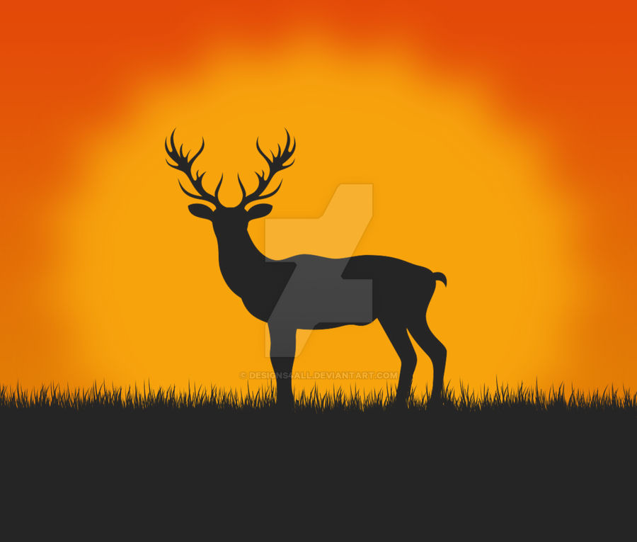 Buck by Designs4all on DeviantArt