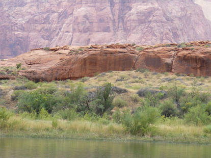 Along the Rio Grande