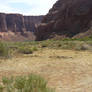 Desert Field 002