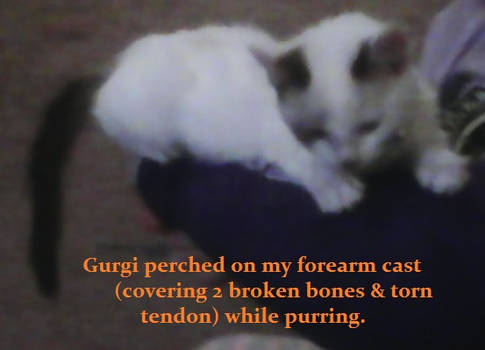 Gurgi: On my cast!