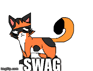 Swagger the cat animation by Eeveerogue on DeviantArt