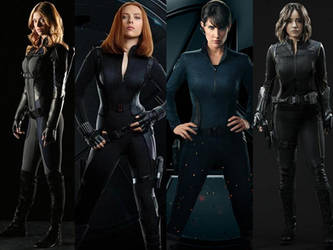 4 Agents of S.H.I.E.L.D.
