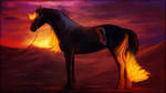 Burning sunsets by Magidaa