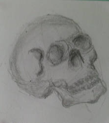 quick sketch Yorick