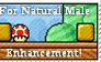 The Mushroom Stamp
