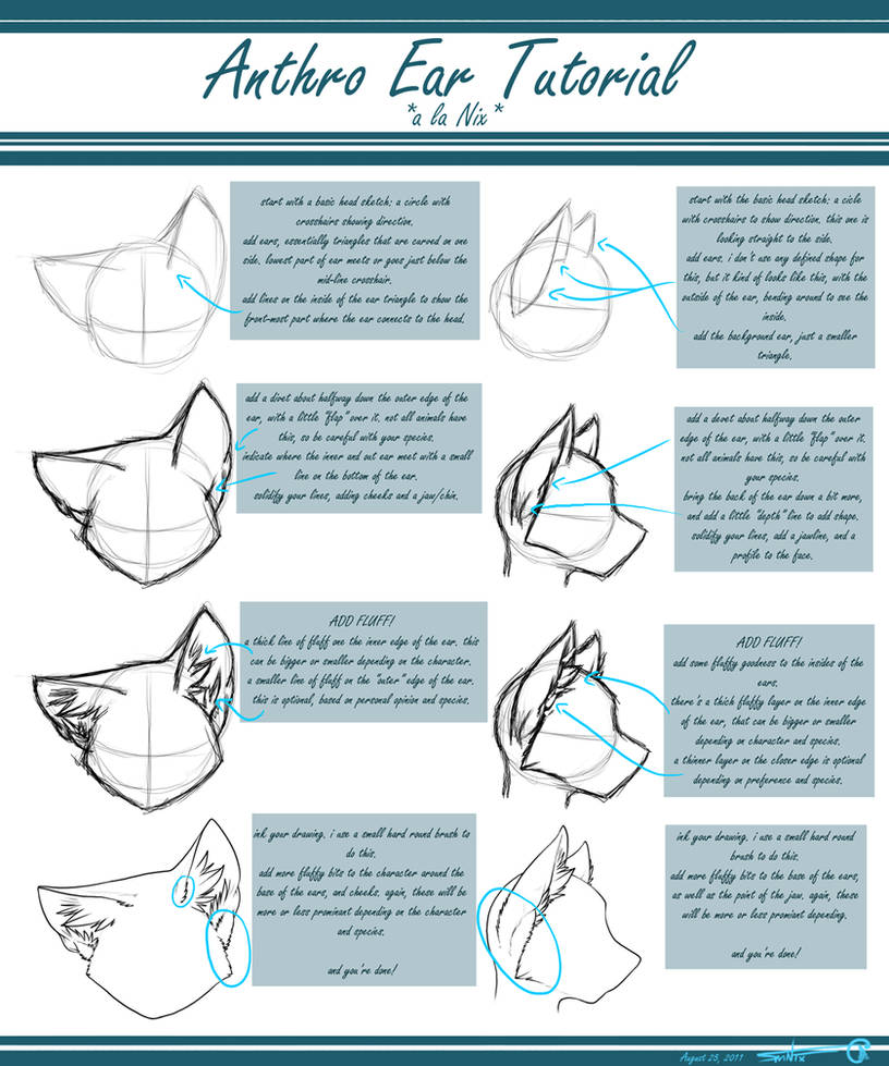 Ear Tutorial Anthro Ear Tutorial by AlliNix on DeviantArt