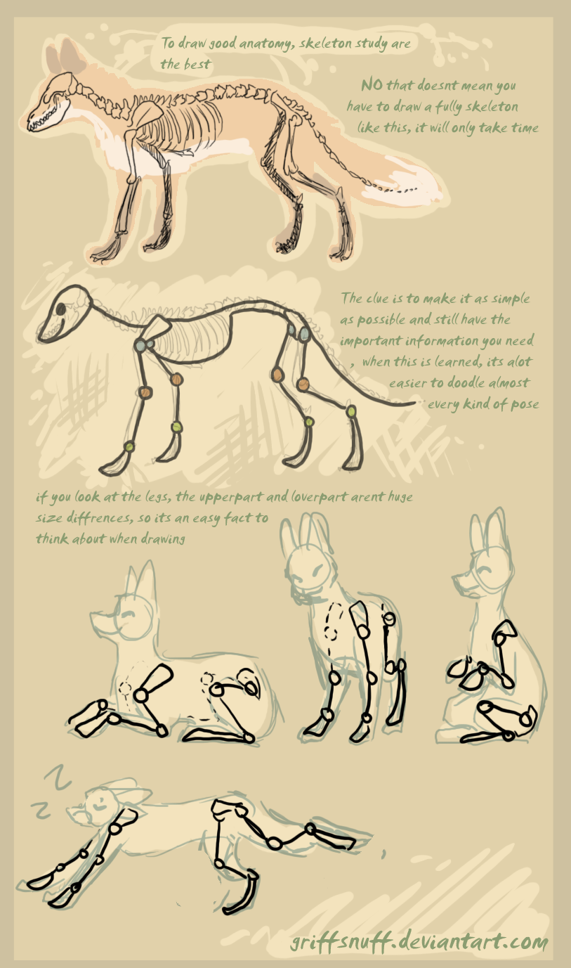 fox doodle tutorial by griffsnuff on DeviantArt
