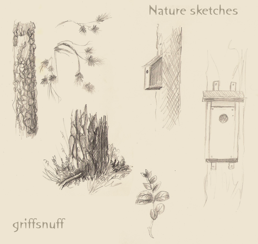 Nature sketches