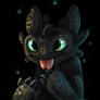 Toothless httyd