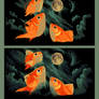 3 goldfish 1 moon walkthrough