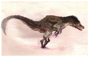 Velociraptor wip