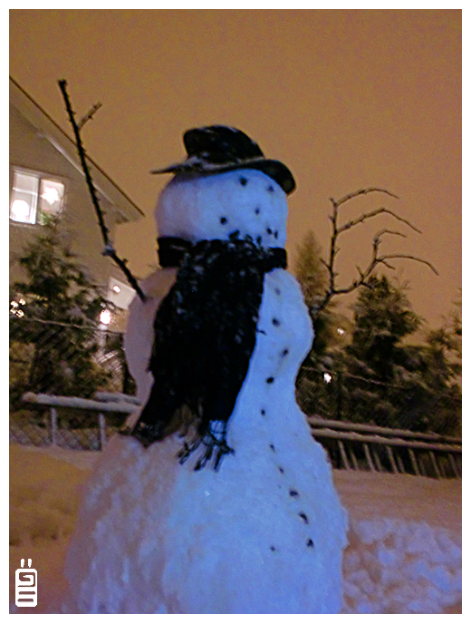 Mr Snowman