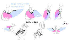 Wing basic