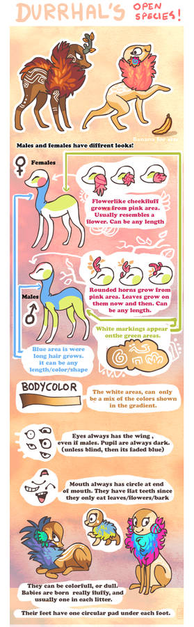 Durrhals Open species